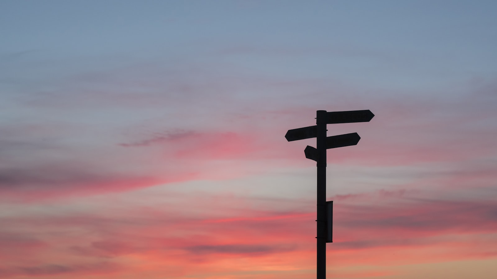 Drive: The Surprising Truth About What Motivates Us